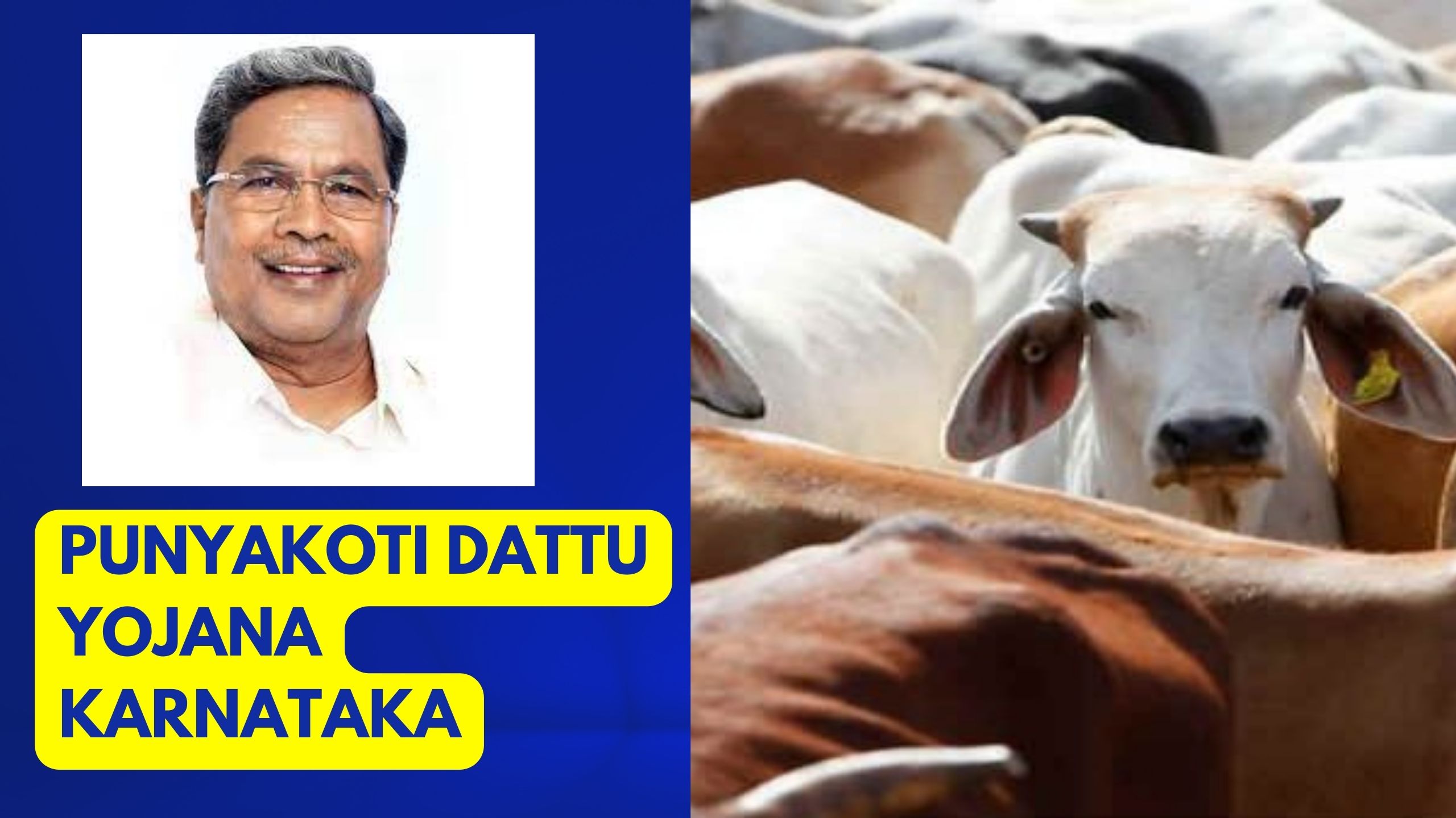 Punyakoti Dattu Yojana Karnataka: Cow Adoption Scheme
